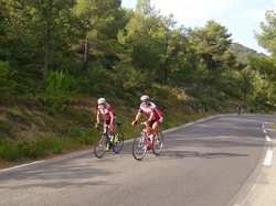 ESPIGOULIER PAR AURIOL