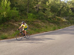 ESPIGOULIER PAR AURIOL