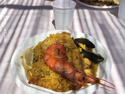 PAELLA AVCC 2017