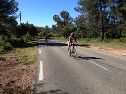 Sortie du 24 mai 2014 (Pigeonnier)